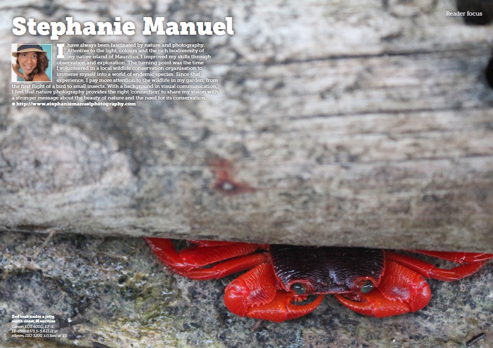 Reader Focus in Wild Planet Photo Magazine - issue 23