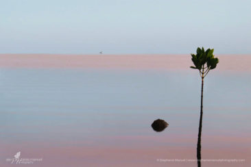 SMP-travel-sceneries-13