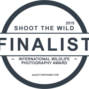 Shoot the Frame finalist 2015