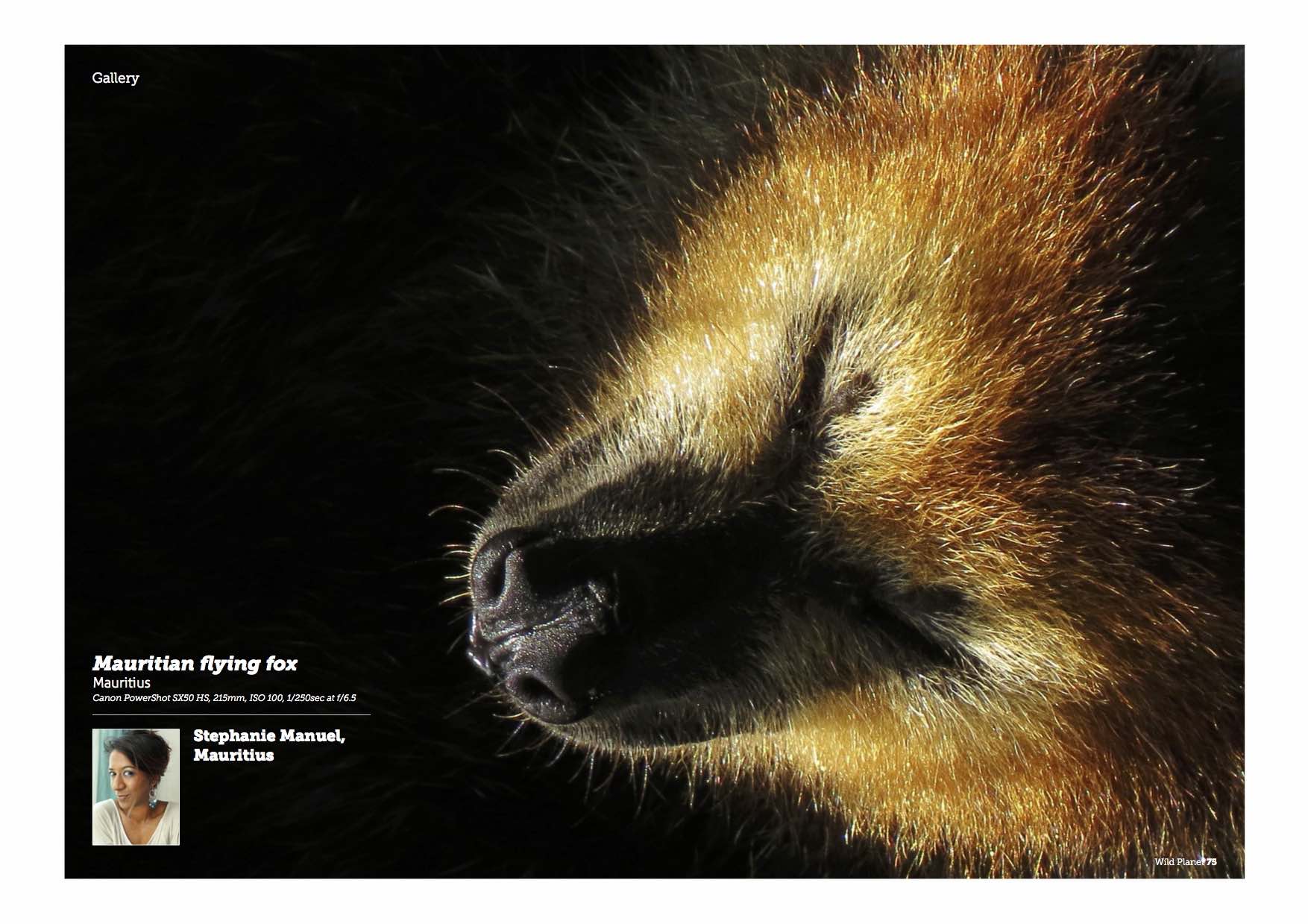 Wild Planet issue 27 Jan 2016- published flying fox